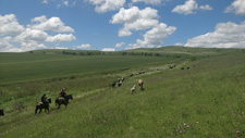 Georgia-Georgia-Kakheti Horse Drive